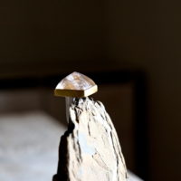 カーリン・コルスター・ケリ 石の指輪